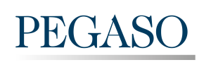 Pegaso_NOsrl-011-300x102 (1)