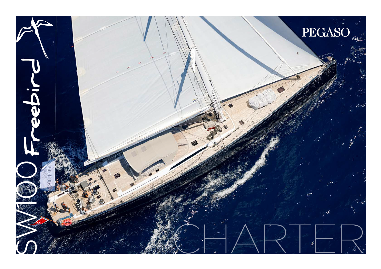 SW100 Freebird | Brochure